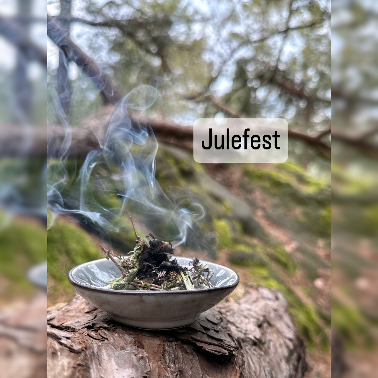 Julfest - Räuchermischung 10g