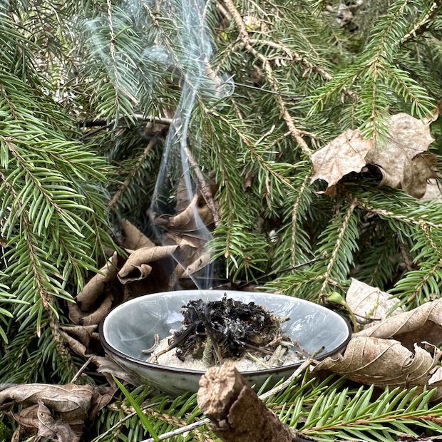 Bio Räuchermischung „Waldbaden“ 10g